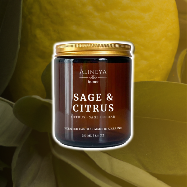 Свеча Sage & Citrus [Шалфей - Цитрус] sage-citrus-candle-100 фото